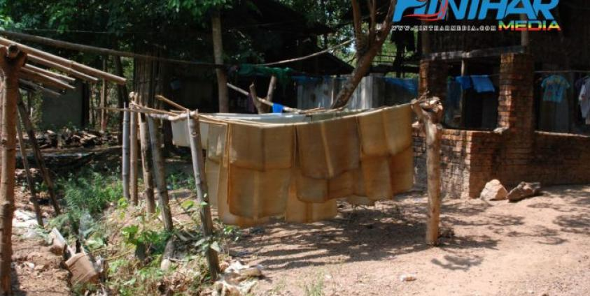 Although rubbers produced from the Mon State are mostly exported to China, prices are falling due to low quality