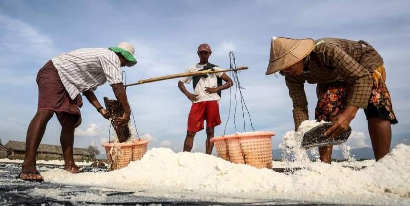 သံဖြူဇရပ်မြို့နယ် ပငကျေးက ဆားကွင်းလုပ်သားများ