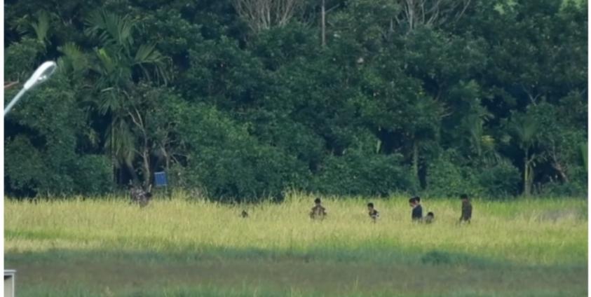 Photo- APM/ စစ်သားများ စပါးစိုက်ခင်းကို ဝင်ရောက်ရိတ်သိမ်းနေသည်ကို တွေ့ရစဉ်