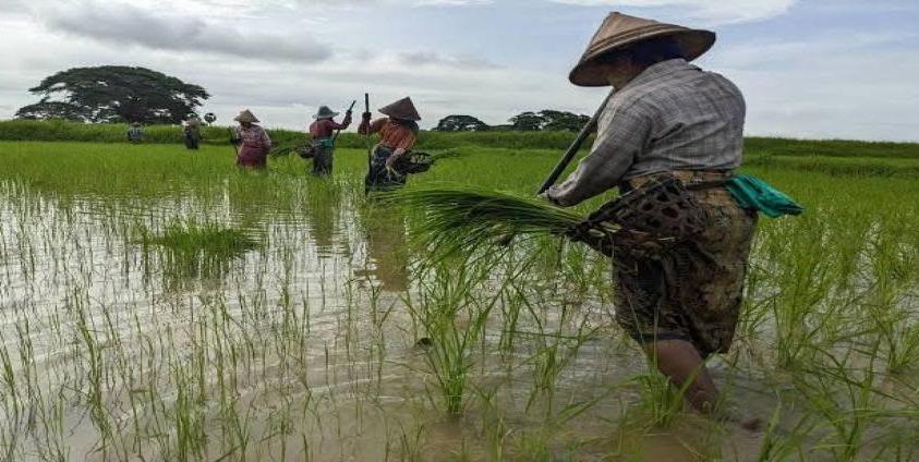 ဓာတ်ပုံ-CJ 