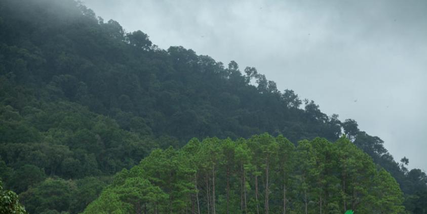 ရှမ်းပြည်နယ်တောင်ပိုင်း ပင်းတယမြို့နယ်။ ဓာတ်ပုံ - သူရ