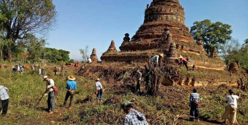 Photo by Sai Mg Gyi/မိုးနဲမြို့ခံများ သက်တမ်း ၂၀၀ ကျော်ရှိသောစေတီတော်အား ခြုံနွယ်ပိတ်ပေါင်းများရှင်းလင်းနေစဉ်