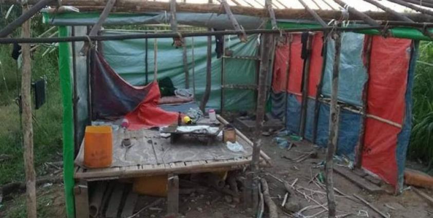 ဓာတ်ပုံ၊တောင်ပေါ်ကျား