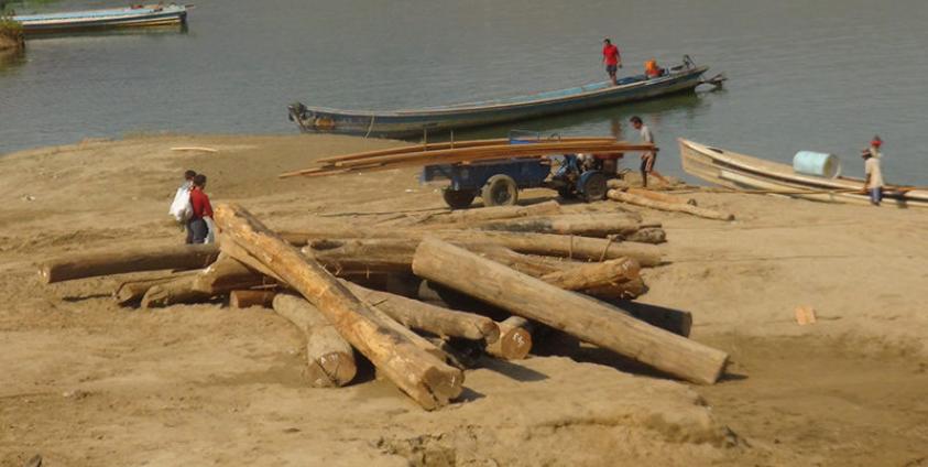 အိမ်သုံးသစ်များကို ၂၀၁၅ ခုနှစ်ကာလက ဖါးဆောင်းမြို့ သံလွင်မြစ်မှတဆင့် သယ်ယူနေကြစဉ်(ဓါတ်ပုံ-စိုင်းလင်းလင်းဦး)