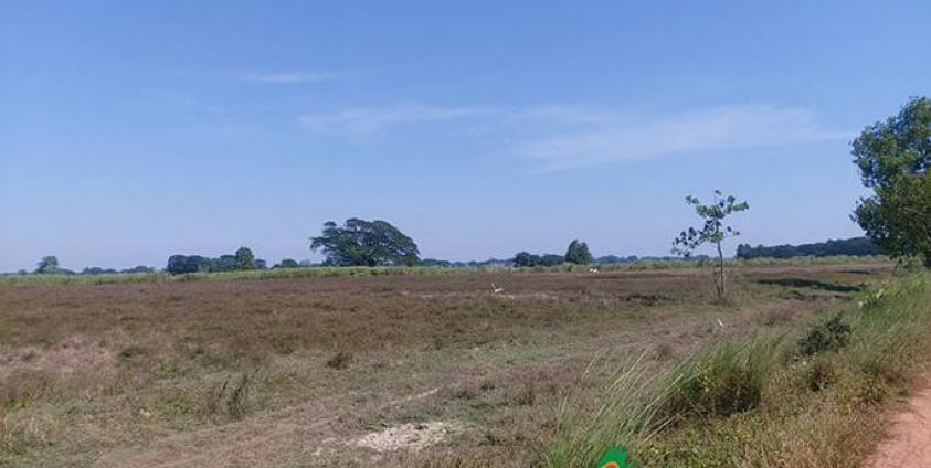 သတင်း၊ ဓာတ်ပုံ - ထက်မြတ်