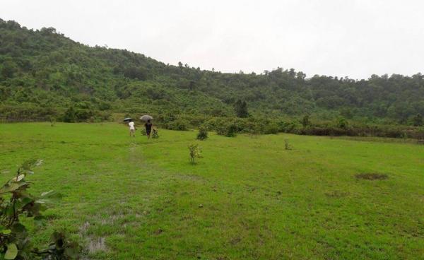 သင်တန်းကျောင်း မြေနေရာ