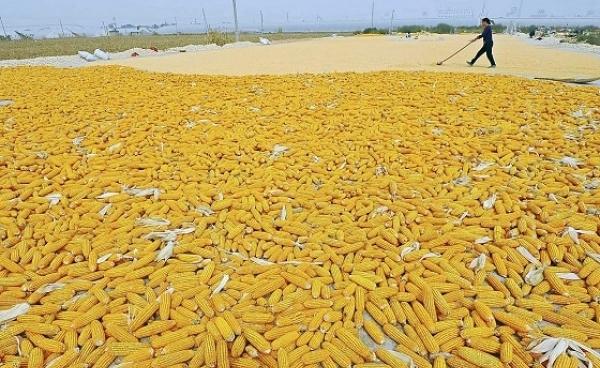 The Myanmar Food Industry Guide