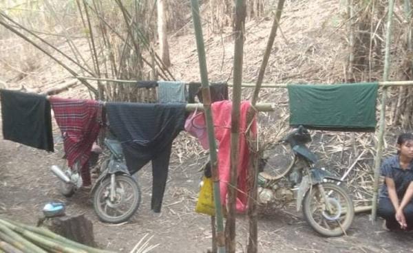 ရွှေကူနယ်တွင် ရွာလုံးကျွတ် မီးရှို့ဖျက်ဆီးခံရမှုကြောင့် တောတွင်း တိမ်းရှောင်နေရသည့် စစ်ရှောင်များ