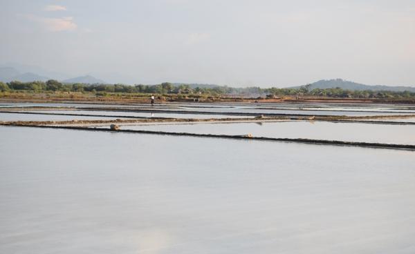 ဆားစျေးကွက်ကျဆင်းနေသဖြင့် မွန်ဆားလုပ်ငန်းရှင်များ အခက်ကြံု