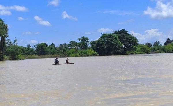 ဓာတ်ပုံ - CJ