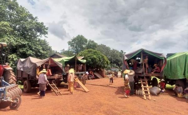 ဓါတ်ပုံ - CJ