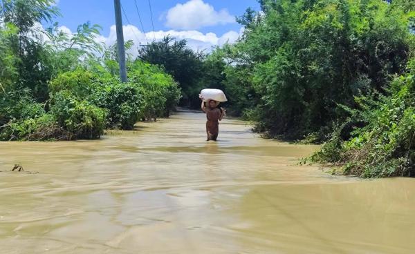 ဓာတ်ပုံ - ခင်ဦးမြို့နယ် သတင်းမှန်ပြန်ကြားရေး
