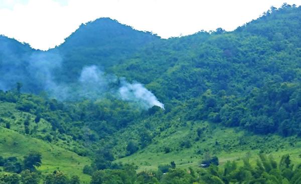 ဓာတ်ပုံ - CJ