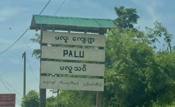 ဓာတ်ပုံ - Social Media