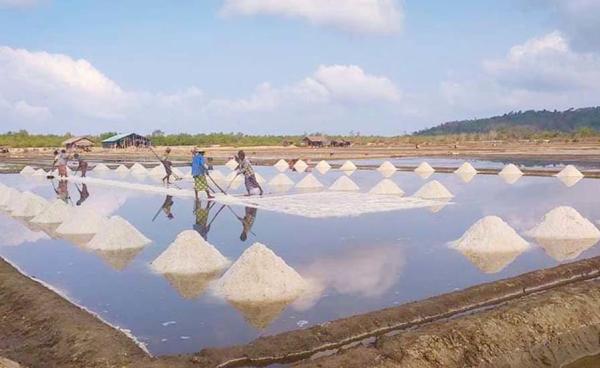 မွန်ပြည်အတွင်းရှိ နေလှန်းဆားကွင်းတစ်ခု၌ ဆားရိတ်သိမ်းနေသည်ကို တွေ့ရစဉ်။ / Crd - ပုံဟောင်း