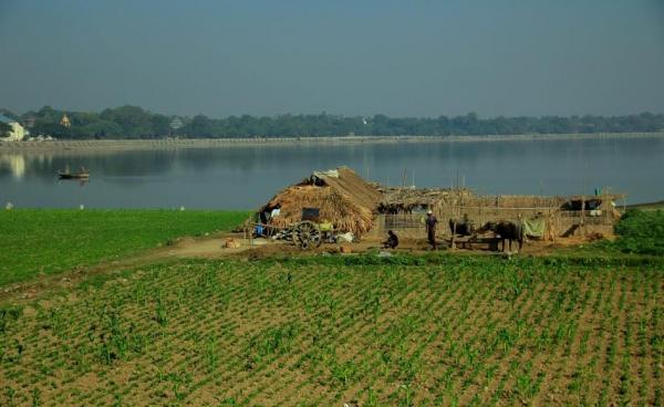 မြေနုကျွန်းတစ်နေရာ(Internet)