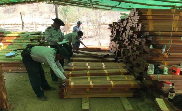 Photo– Forest Department (Facebook)