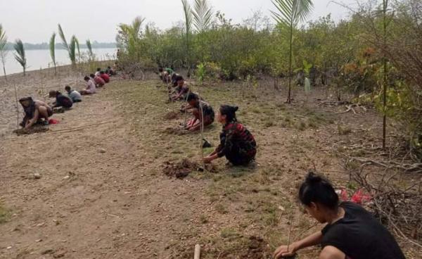 သင်္ကြန်အထိန်းအမှတ် ဒီရေပင်များစိုက်ပျိုးခဲ့သည်ကို တွေ့ရစဉ်။ (Photo - ကိုမျိုးလွင်)