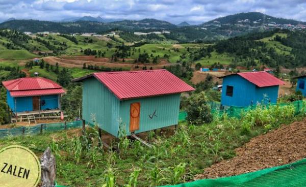 Photo credit to Zelen