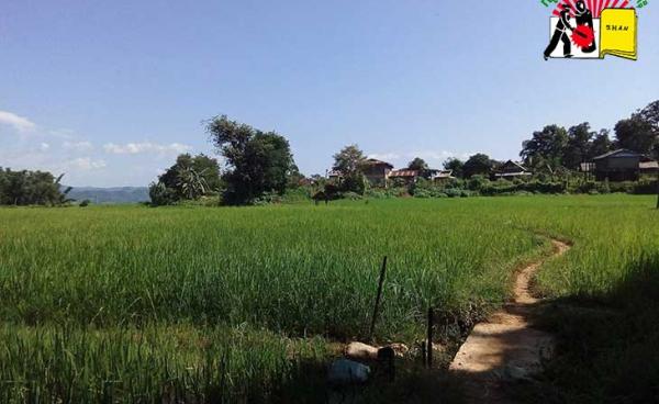 မန်စံသို့ စစ်ဘေးရှောင်ကြရသည့် ရွာသားများ၏ ၀မ့်နားငူးရွာ