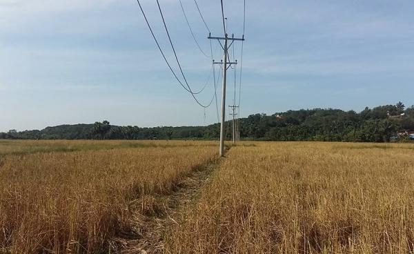 လျှပ်စစ်ကြိုးများသွယ်တန်းထားပုံ(photo: MNA)