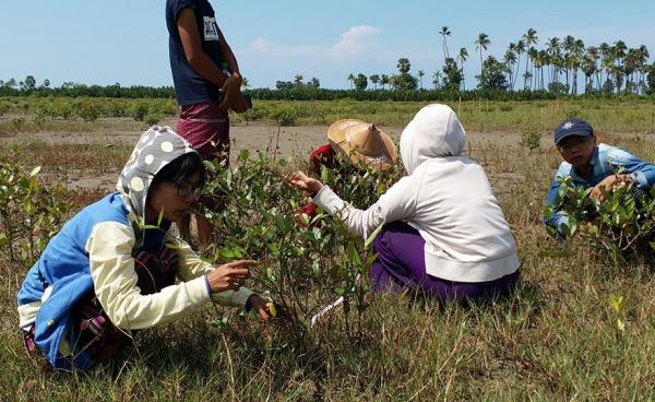 ဖာလိန်ဒေသဒီရေတော အပင်ကြီးထွားမှုနှုန်း မှတ်တမ်းတင်စဉ်(Photo:လျးဖာလိန်)