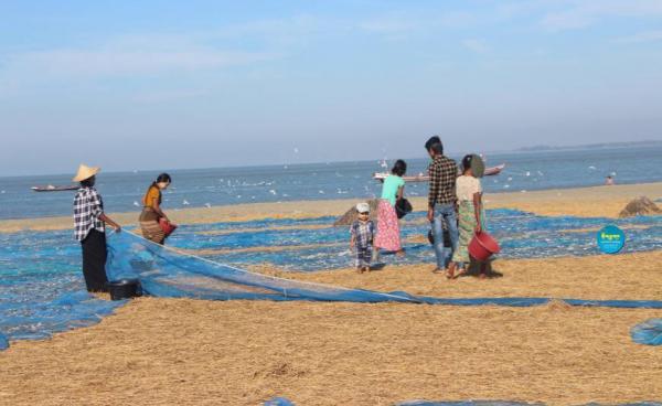 သဲခုံရွာမှ ငါးလုပ်ငန်း တစ်ခုကို တွေ့ရစဉ်