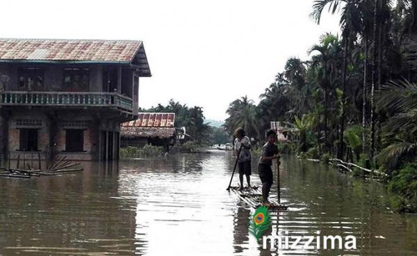 ဓာတ်ပုံ - ဒီမိုးသွေး (မြိတ်)