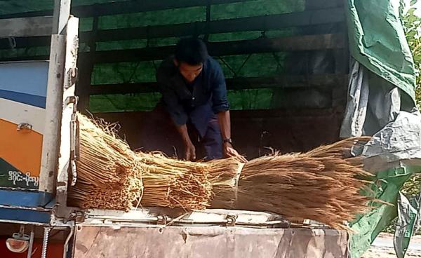 အမ်းမြို့နယ်မှ ကျူပင်အခက်ရောင်းဝယ်ရေး လုပ်ငန်းခွင်တစ်ခုကို တွေ့ရစဉ်။/ ဓာတ်ပုံ - ဒေါက်တာ ဝင်းမြင့်လေး