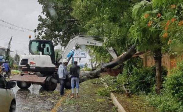 တောင်ကြီးမြို့တွင် မေလ ၂၉ ရက်ညနေ ကစပြီးလေပြင်းမုန်တိုင်းတိုက်ခတ် သစ်ပင် ဓါတ်တိုင်များပြိုကျ ပျက်စီးဆုံးရှုံးမှုများပြား