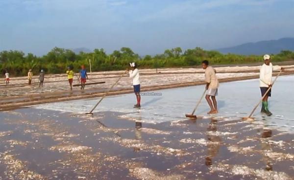 ပငဆားကွင်း(MNA)