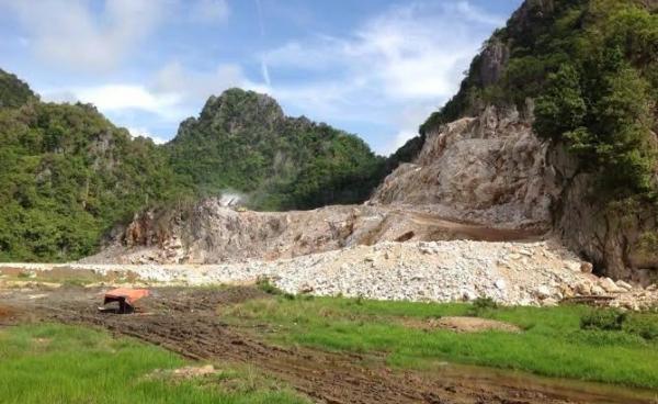 ပျားတောင်(MNA)