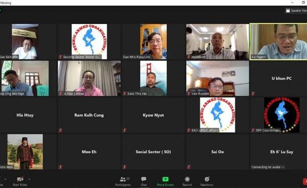 NCA-S EAO Online Meeting- June 10 (NCA-S EAO)