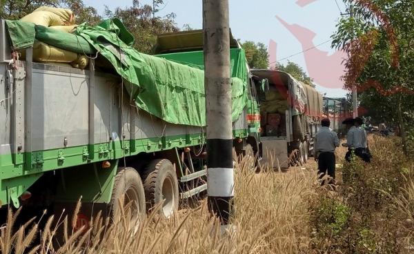Seized trucks with illegal logs