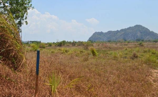 Farmland earmarked for the construction of the cement factory (Photo: GS)