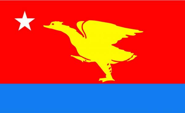 မွန်ဒေသလုံးဆိုင်ရာဒီမိုကရေစီပါတီ အလံပုံ