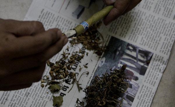 A man mixes marijuana and tobacco leaves from a typical Myanmar cheroot in a house on the outskirts of Yangon. Photo: Nyein Chan Naing/EPA