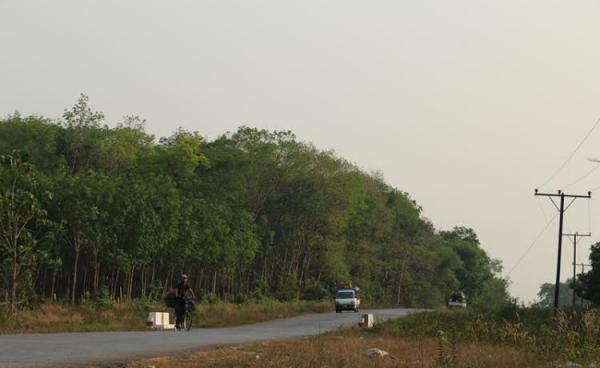 ကွမ်လှာရွာအနီး ရာဘာခြံ(MNA)