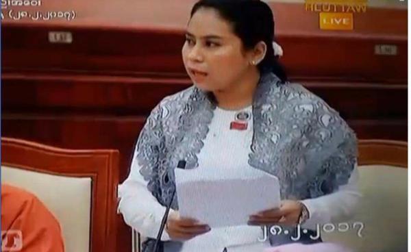 ပြည်သူ့လွှတ်တော်အစည်းအဝေး၌ တိုက်တွန်းကြောင်းအဆိုတင်သွင်းသည့် မိကွန်ချမ်း(Facebook)