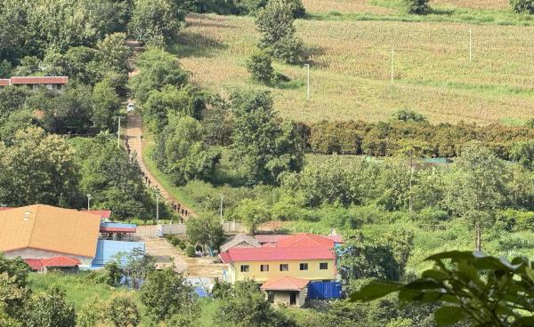 Photo credit - Saw Smith 