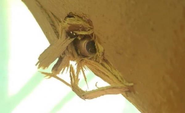 (ဓာတ်ပုံ- မြောင်းဘွေဆေးရုံတွင်ကျည်ဆံထိမှန်နေပုံ/ Credit မူရင်းဓာတ်ပုံရိုက်သူ)