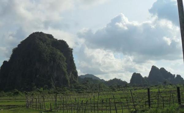 ပျားတောင်(MNA)