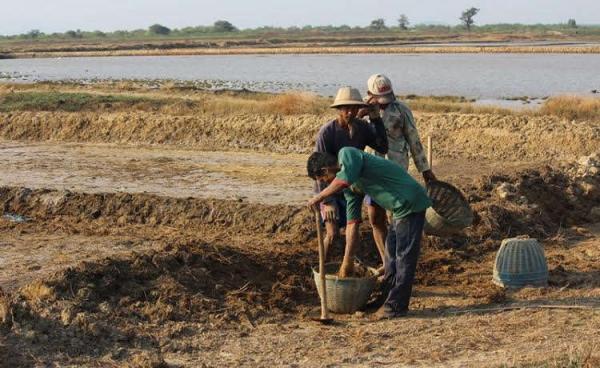 ဆားကွင်း တာရိုးများ ပြန်လည်ပြုပြင်နေစဉ် (MNA)