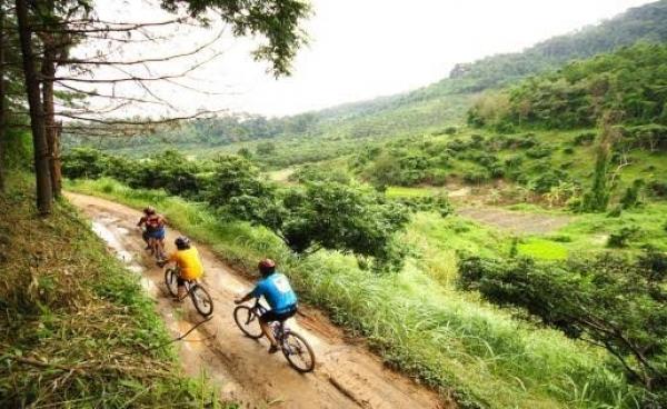 ချင်းမိုင်မြို့မှ Green Bike စက်ဘီးနင်းအဖွဲ့တစ်ဖွဲ့(Internet)
