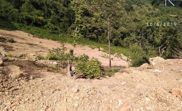 သစ်တောများ ခိုးထုတ်သည့် နေရာ