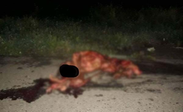 လမ်းလယ်ခေါင်ကားကြိတ်သေဆုံးနေပုံ(ဓာတ်ပုံ- Nay Lin Aung)လမ်းလယ်ခေါင်ကားကြိတ်သေဆုံးနေပုံ(ဓာတ်ပုံ- Nay Lin Aung)