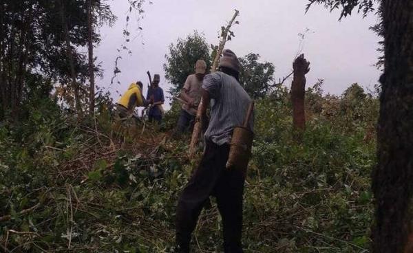 Photo SHRF – တပ်မှဆင့်ဆိုသော သစ်များ ၀ါးများကို ရွာသားများသွားရောက်ခုတ်ယူပေးနေပုံ