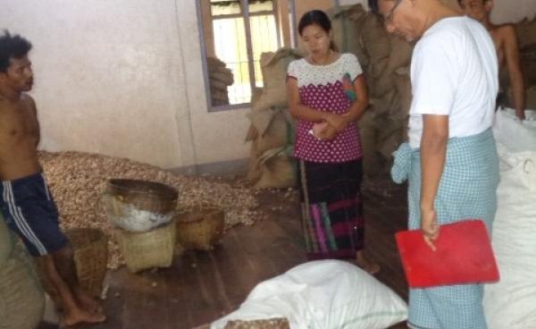 ရေးမြို့ ကွမ်းသီးခြောက်များ (IMNA)