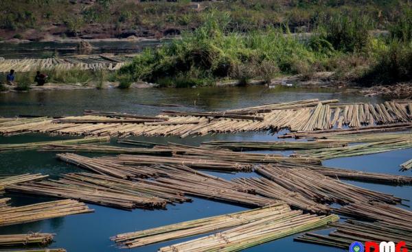 ဘူးသီးတောင်မြို့နယ်၊ စိုင်းတင်ရေတံခွန်အနီး တွေ့ရသော ဝါးခုတ်သမားများ