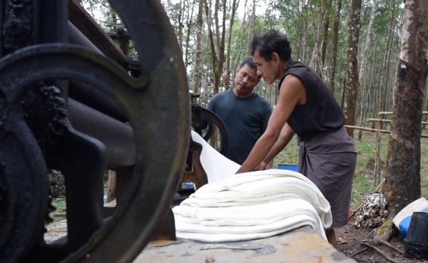 ရာဘာကြိတ်ပြားများ(photo: MNA)